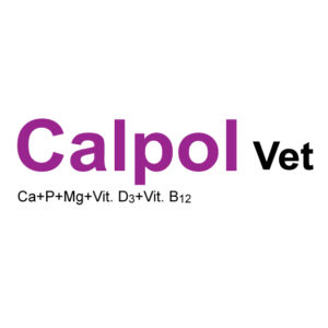 Calpol Vet Solution
