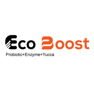 Eco Boost Powder
