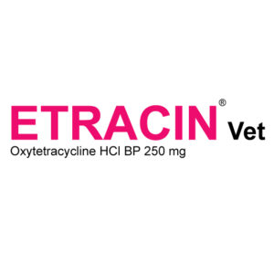 Etracin® Vet Powder