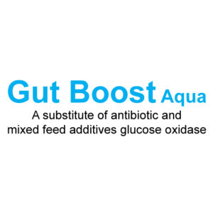 Gut Boost Aqua Powder